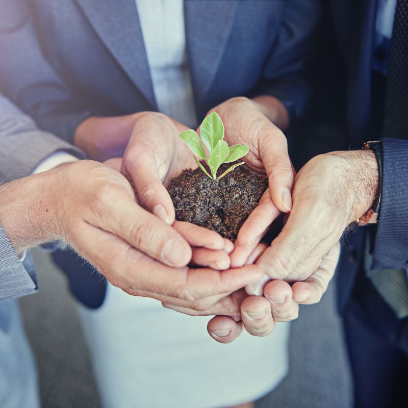 CapitalCue- Bespoke Investment Solutions CapitalCue- Bespoke Investment Solutions