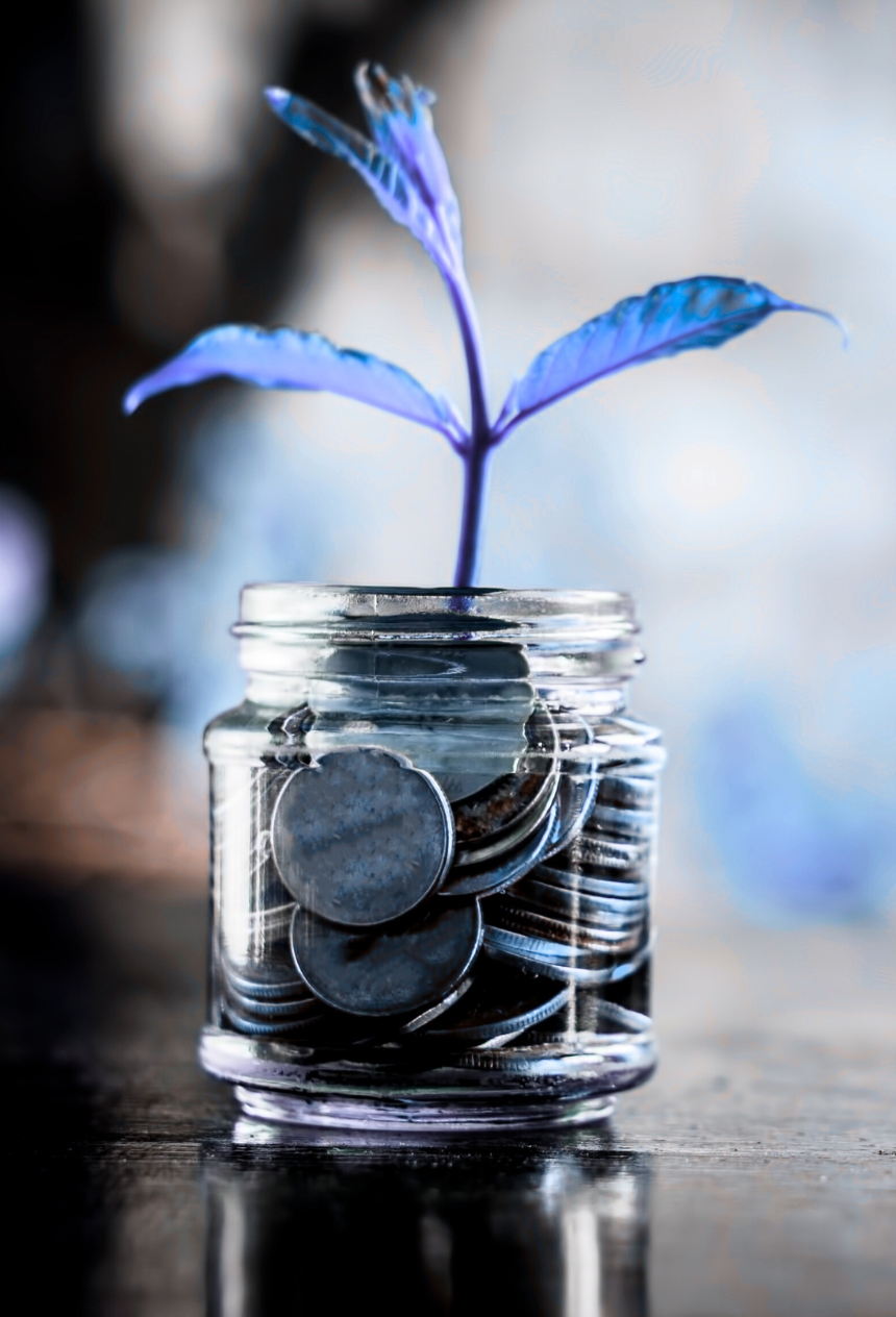 CapitalCue - Corporate FDs